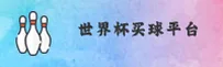 世界杯手机买球App完整版—2026官方正版安装包下载